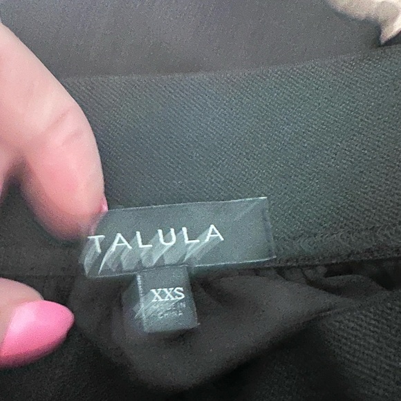 Talula (Aritzia) Ballerina Skirt - Picture 3 of 3